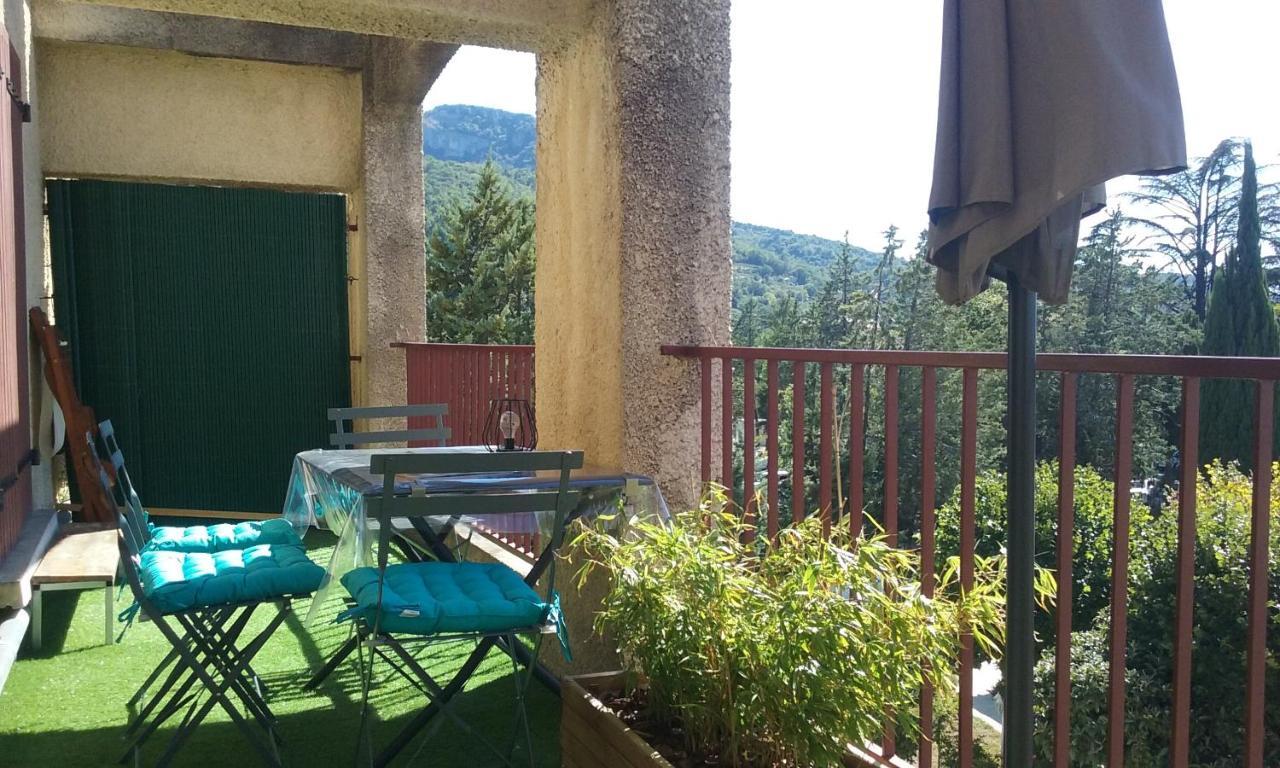 Appartement Climatise Avec Terrasse Au Coeur De Nyons Bagian luar foto